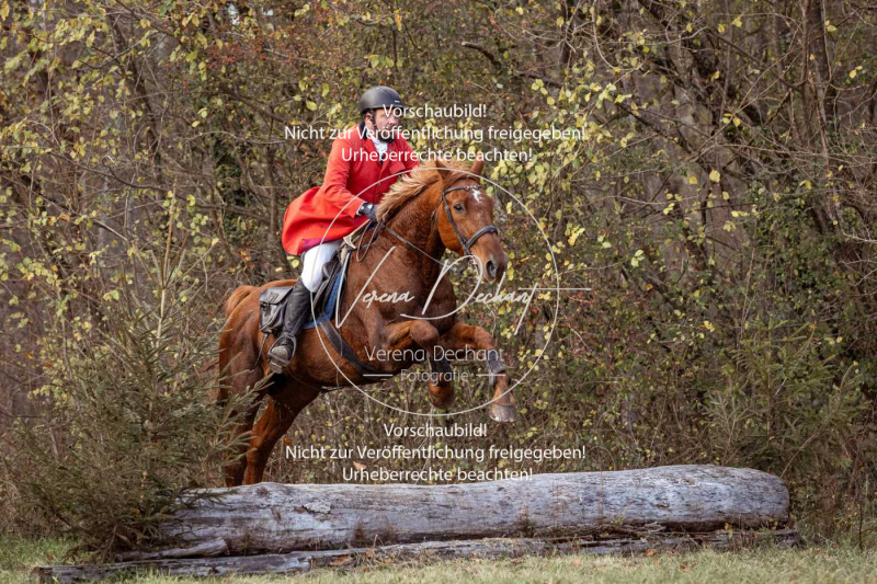 Schleppjagd_Gruenau-473