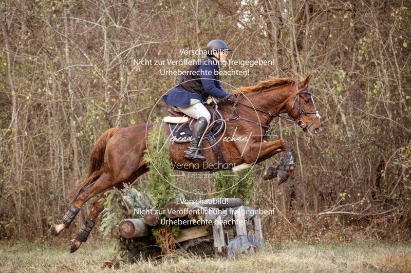 Schleppjagd_Gruenau-476