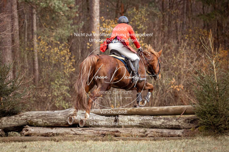 Schleppjagd_Gruenau-486