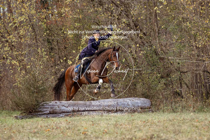 Schleppjagd_Gruenau-498