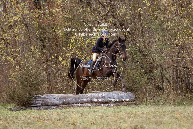 Schleppjagd_Gruenau-500