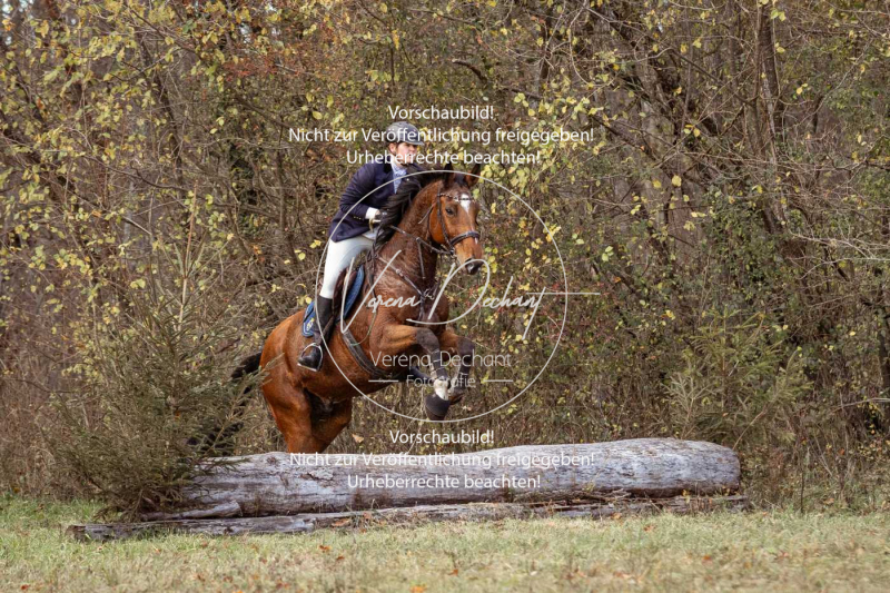 Schleppjagd_Gruenau-505