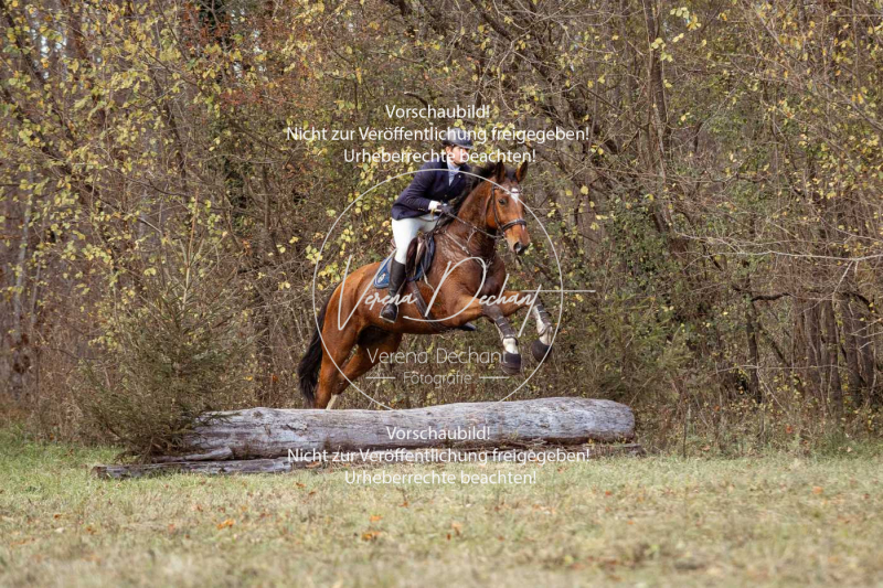 Schleppjagd_Gruenau-506