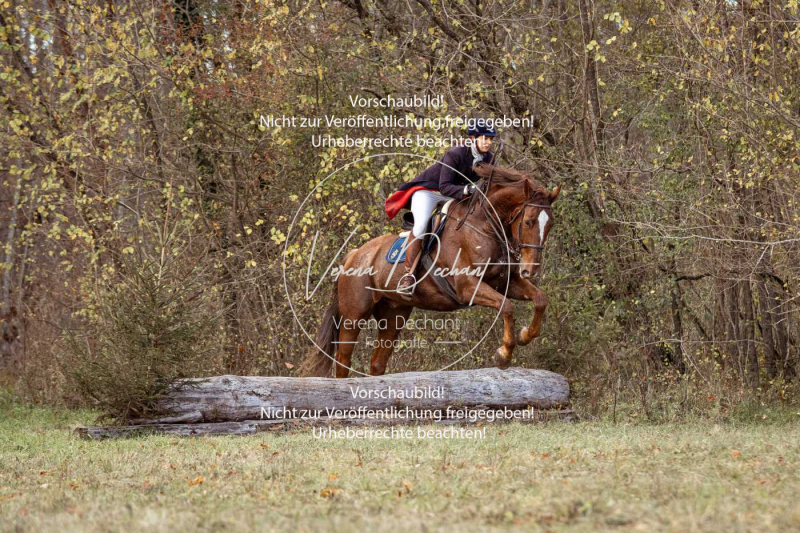 Schleppjagd_Gruenau-507