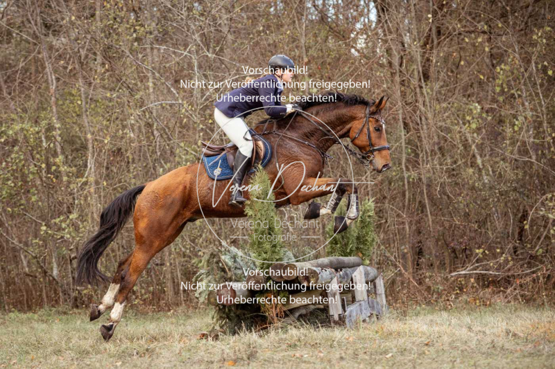 Schleppjagd_Gruenau-509