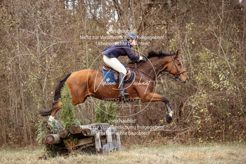 Schleppjagd_Gruenau-510