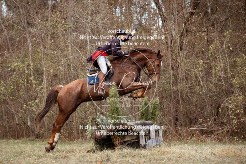 Schleppjagd_Gruenau-512