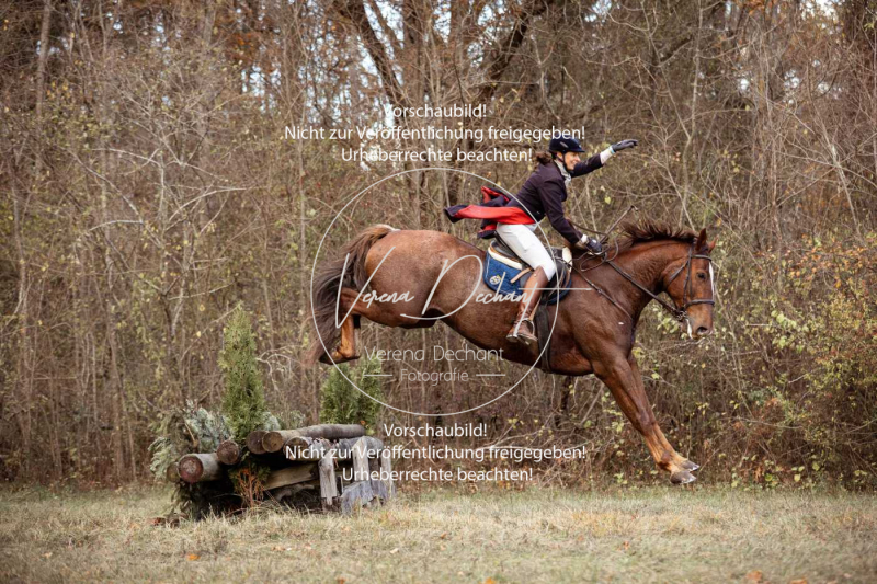 Schleppjagd_Gruenau-514