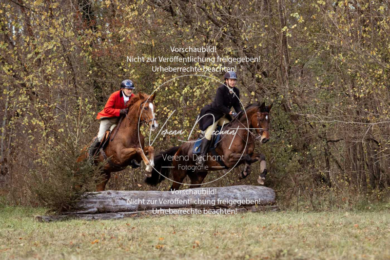 Schleppjagd_Gruenau-515