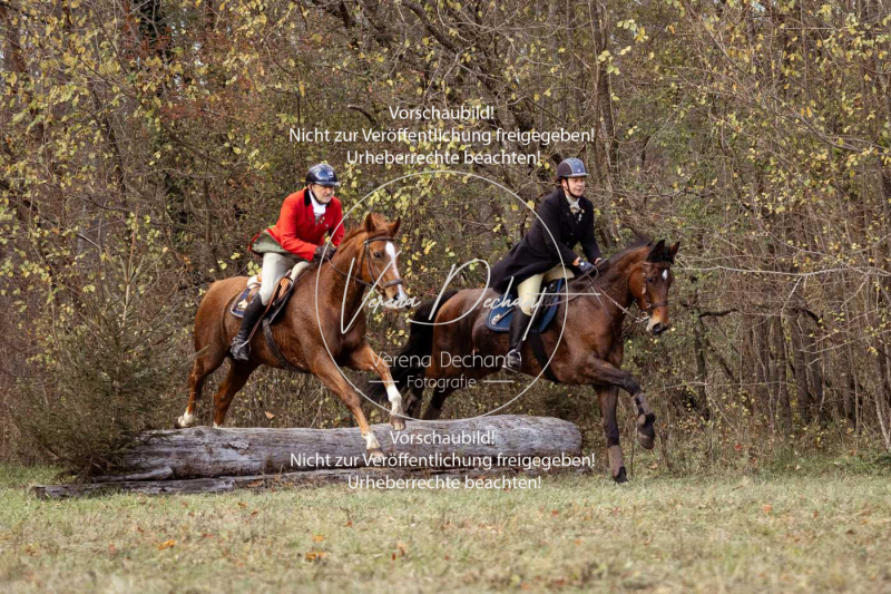 Schleppjagd_Gruenau-516