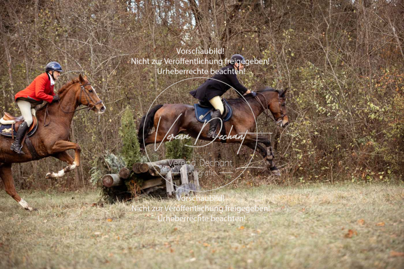 Schleppjagd_Gruenau-520