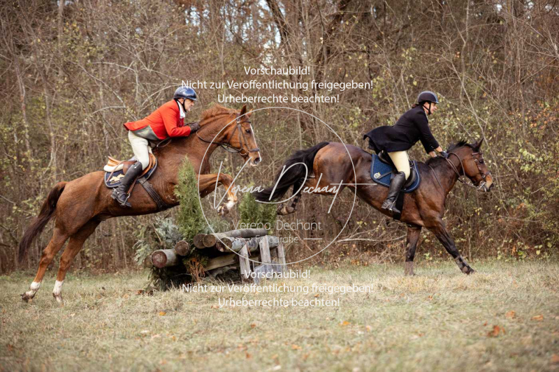 Schleppjagd_Gruenau-521