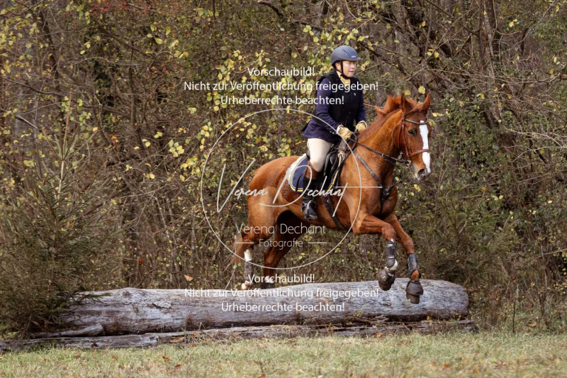 Schleppjagd_Gruenau-529