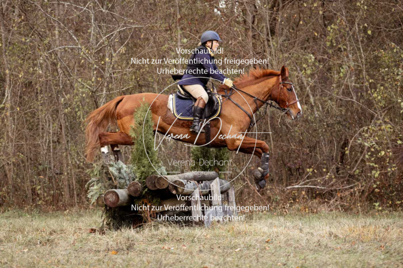 Schleppjagd_Gruenau-537