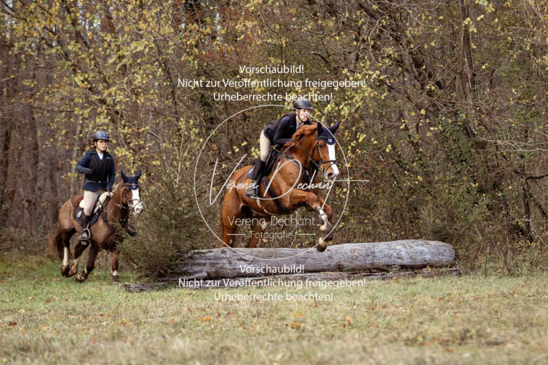 Schleppjagd_Gruenau-541