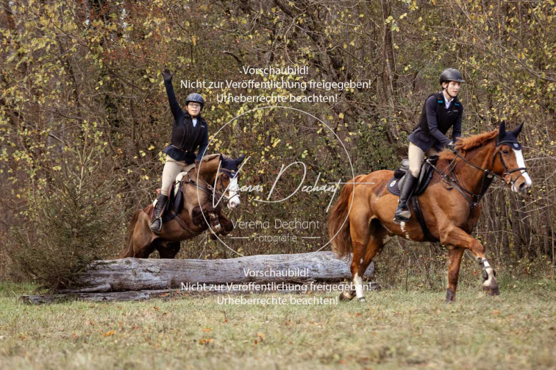 Schleppjagd_Gruenau-543