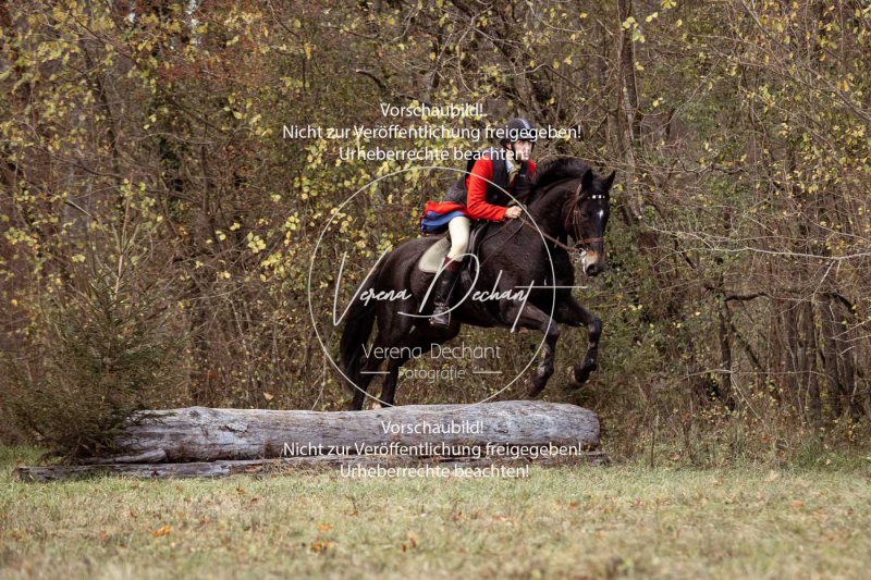 Schleppjagd_Gruenau-545