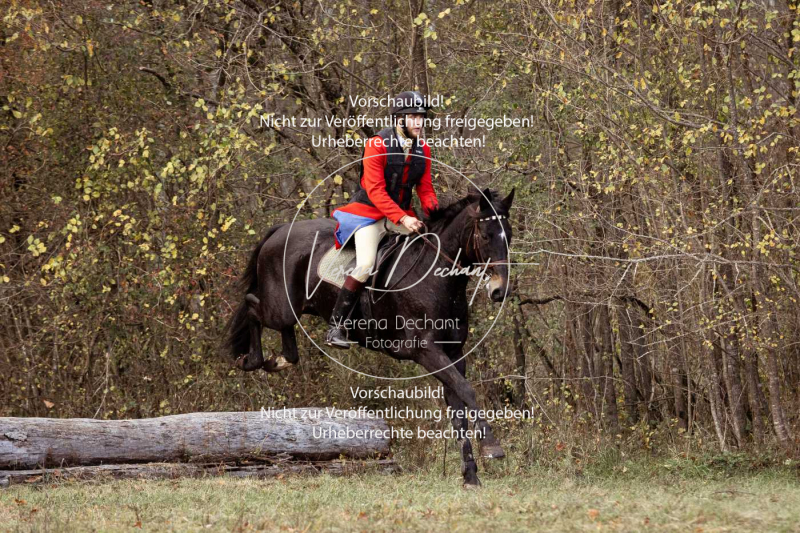 Schleppjagd_Gruenau-546