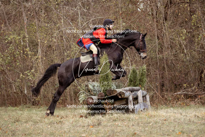 Schleppjagd_Gruenau-549