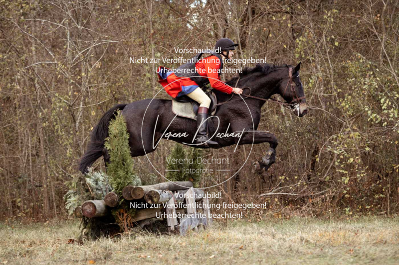 Schleppjagd_Gruenau-550