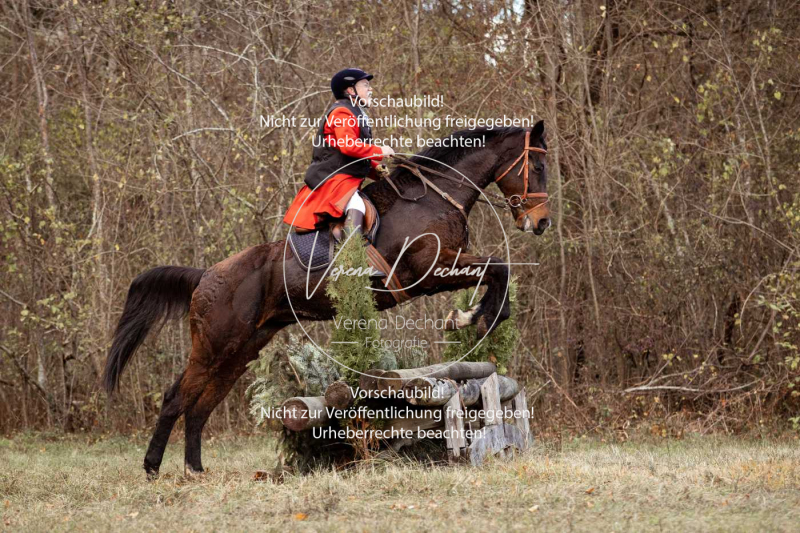 Schleppjagd_Gruenau-552