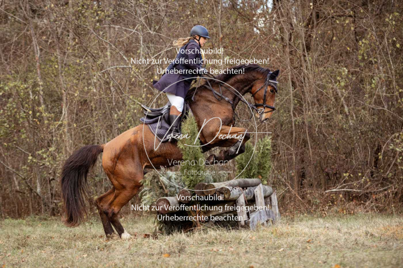 Schleppjagd_Gruenau-558