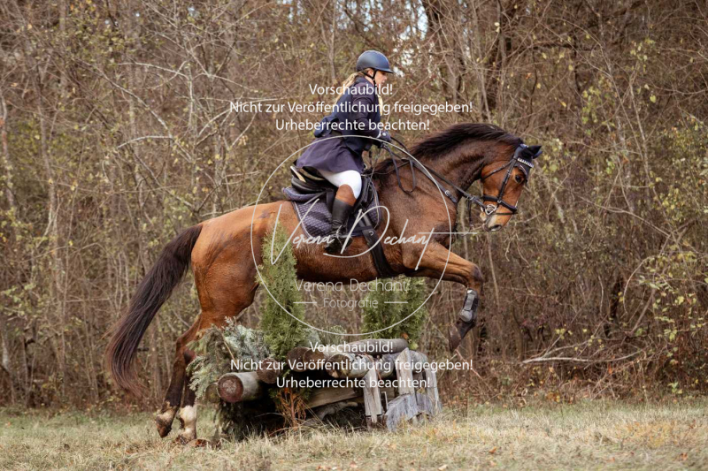 Schleppjagd_Gruenau-559