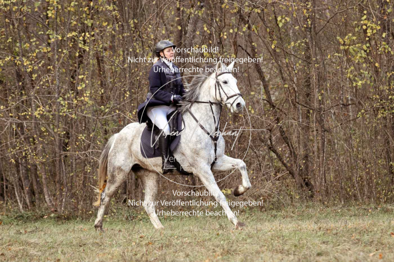 Schleppjagd_Gruenau-561