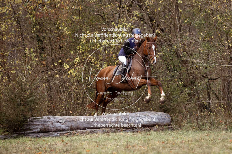 Schleppjagd_Gruenau-562