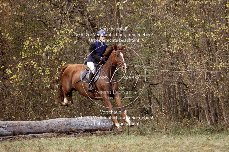 Schleppjagd_Gruenau-563