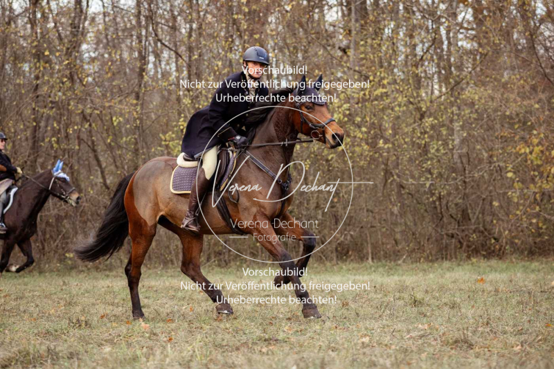 Schleppjagd_Gruenau-567