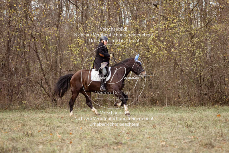 Schleppjagd_Gruenau-568