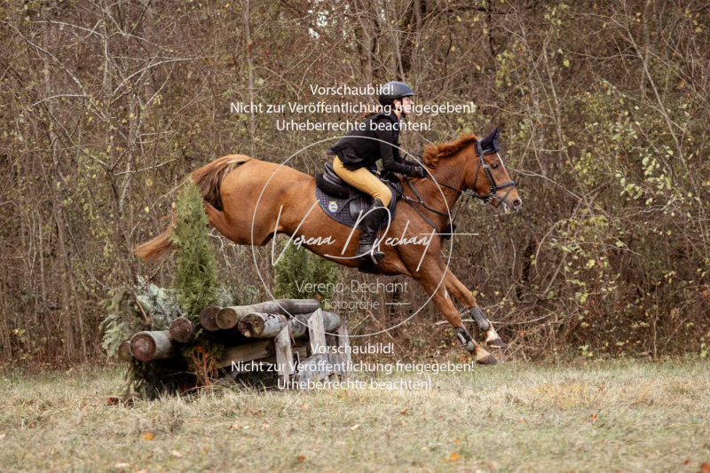 Schleppjagd_Gruenau-573