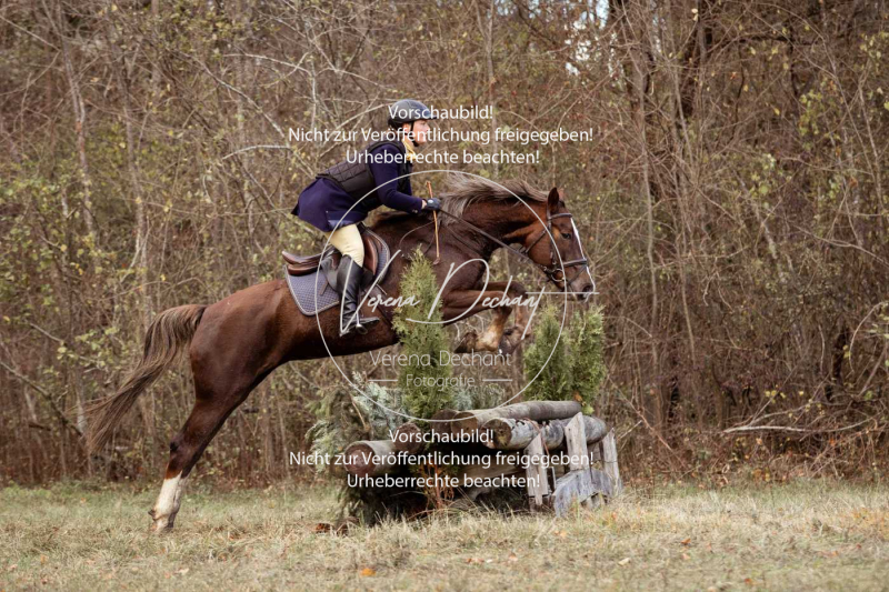 Schleppjagd_Gruenau-577