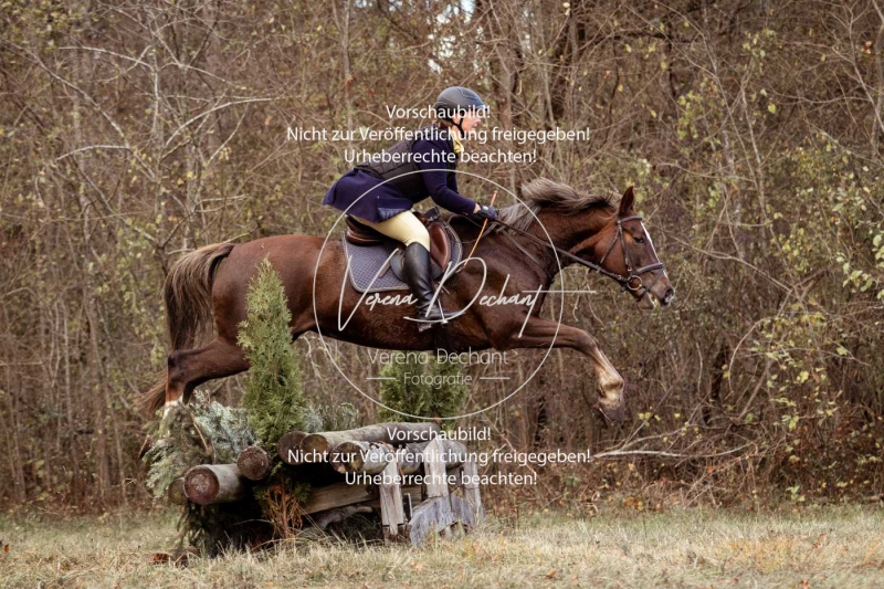 Schleppjagd_Gruenau-578