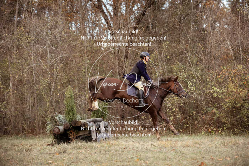 Schleppjagd_Gruenau-579