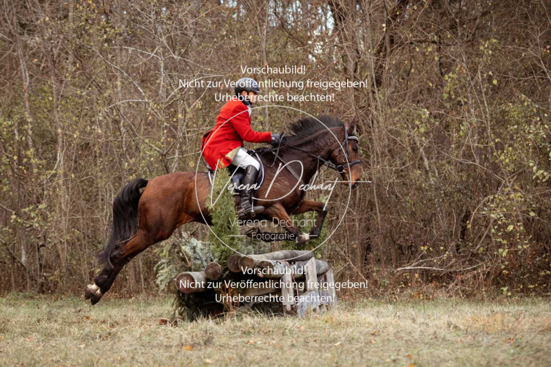 Schleppjagd_Gruenau-582