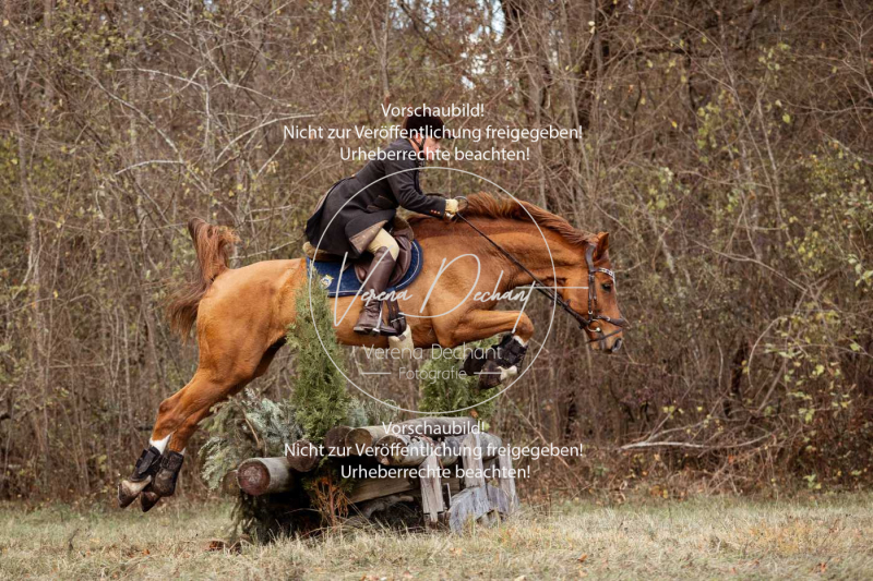 Schleppjagd_Gruenau-584