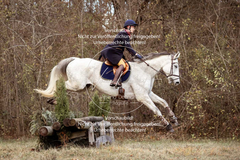 Schleppjagd_Gruenau-588