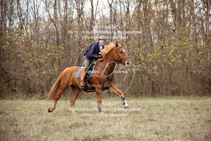 Schleppjagd_Gruenau-592