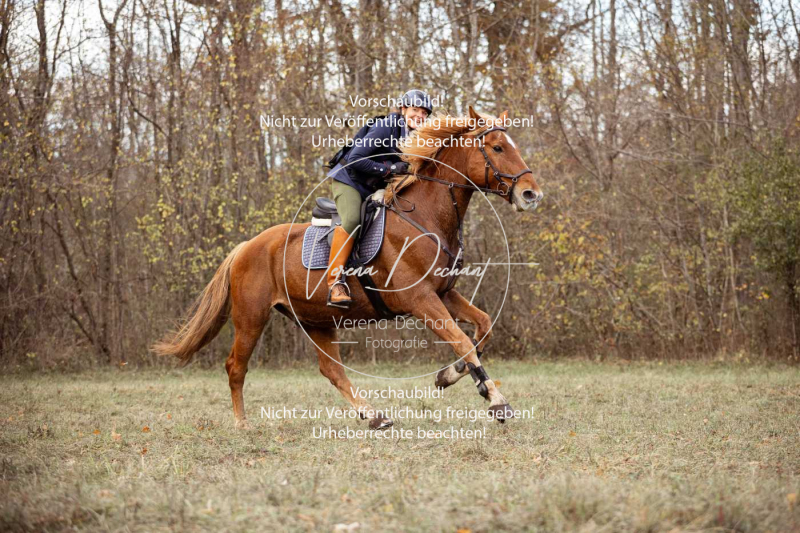 Schleppjagd_Gruenau-593