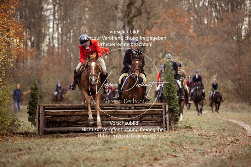 Schleppjagd_Gruenau-596