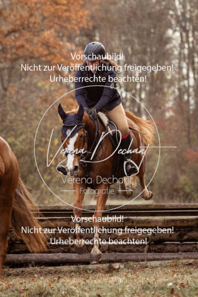 Schleppjagd_Gruenau-629