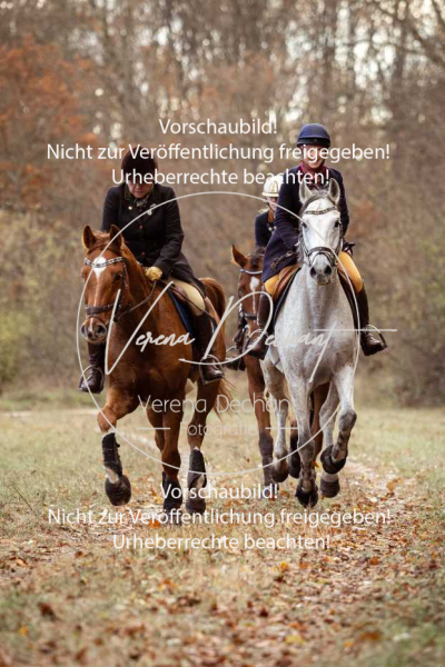 Schleppjagd_Gruenau-642