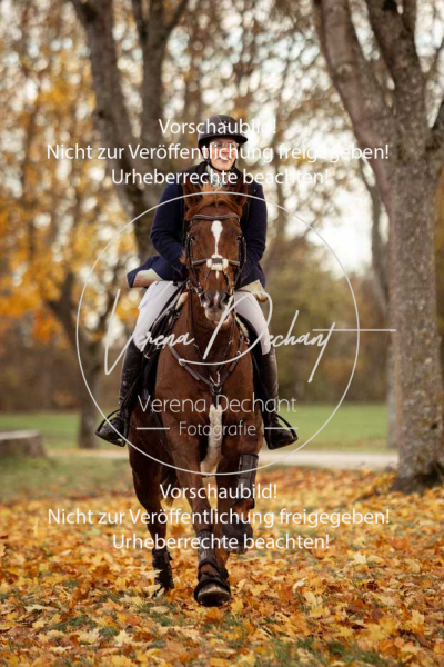 Schleppjagd_Gruenau-646