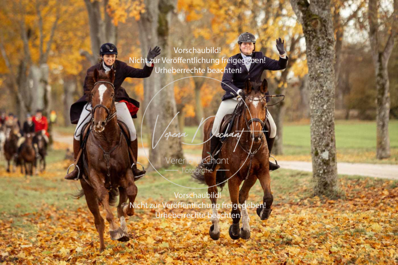 Schleppjagd_Gruenau-668