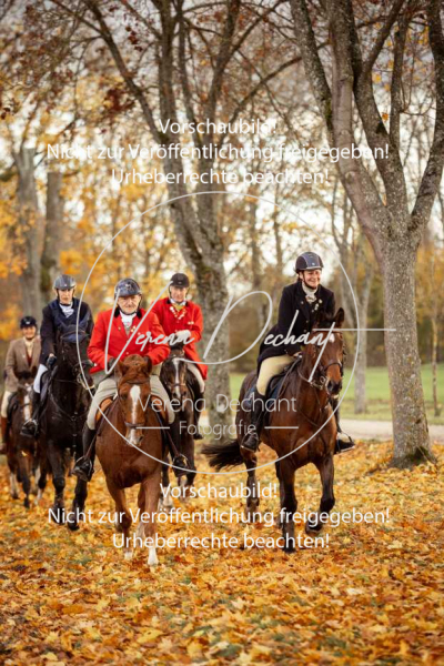 Schleppjagd_Gruenau-676