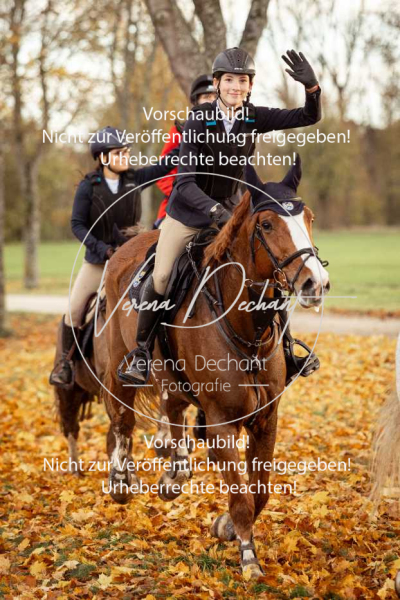 Schleppjagd_Gruenau-683