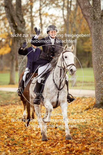 Schleppjagd_Gruenau-695