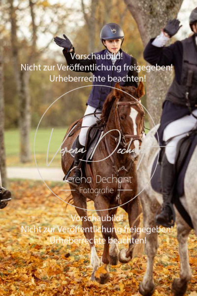 Schleppjagd_Gruenau-697